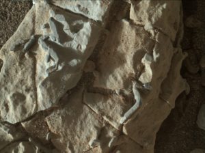 strange fossil like structures spotted on mars