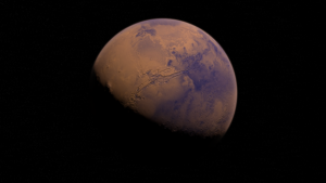 space x founder announces mars launch in 2019