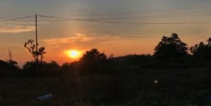 strange unexplained trumpet like sounds heard in Hawaii