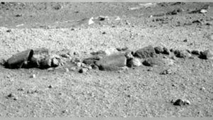 fossilized skeleton spotted in mars rover photo