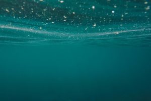 underwater drones start collecting seawater to study ocean microbes