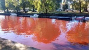 river turns blood red in Argentina