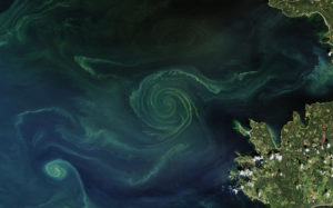 unusual large swirling algae bloom forms in the Baltic Sea
