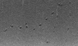 ocean exploration robot discovers footprints 12,000 ft on ocean bottom