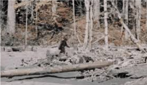could Bigfoot be a ghost