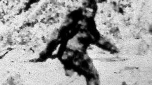 hunter mistakenly shoots at what he believes is Bigfoot