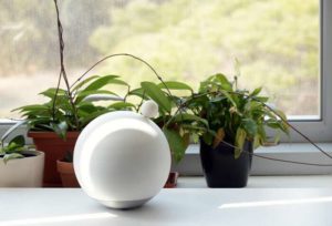 robotic sphere developed to greet people