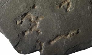 earliest evidence of moving organism found in 2.1 billion yr old rock