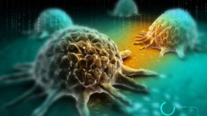 six types of cancer show promise of treatment with new Trojan horse drug
