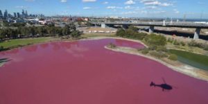 lake turns pink in Australia