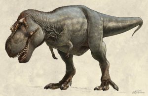 largest T. rex ever found in Canada