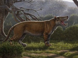 fossil of giant line discovered in Kenya
