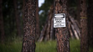 new documentary searches the northwest US for signs of mythical Bigfoot