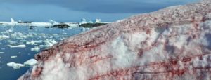 bizarre blood colored snow invades Antarctica