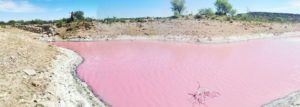 lagoon turns pink in Mexico