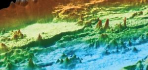 hydrothermal vents discovered off of coast of Washington