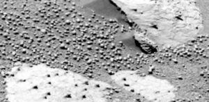scientists claim to have spotted mushrooms on mars