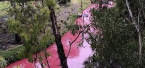 creek turns bright pink in Australia