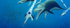 ancient 25 ft predatory dolphin identified by archeologists