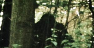 woman reports bigfoot sighting in Hudson county, New Jersey