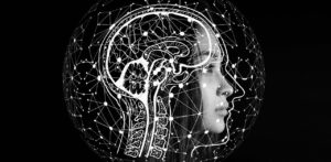 brain aging successfully reversed in new study