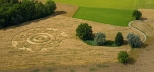 8 fold circular geometry crop circle discovered in German wheat field