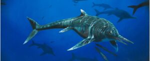 ancient fossil found that looks like a cross between a shark & dolphin