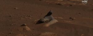 unusual harbor seal rock spotted in first mars rover photo