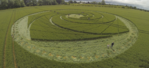 swirling hexagonal shaped crop circle appears in UK field