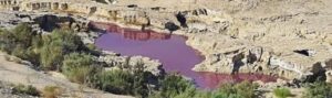 water near Dead Sea turns red