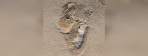 ancient tracks may be oldest hominin footprints ever found