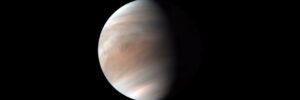 photosynthesis could be possible in clouds of Venus claims paper