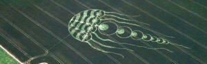 incredible crop circles found on google earth