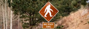 bigfoot sighting reported in Illinois