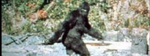 famous 1967 video of bigfoot gets scanned with new technology