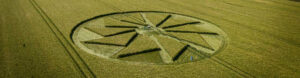 first crop circles of the season appear in the UK