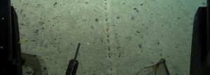 mysterious tracks discovered on Atlantic seabed
