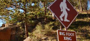 Bigfoot foot prints posted online by believers group