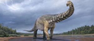 study solves mystery of how dinosaurs supported their weight