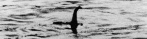 first Loch Ness sighting of 2023 reported