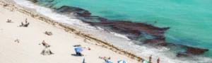massive blob of seaweed begins to effect Florida beaches