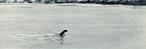 the history of the Loch Ness monster