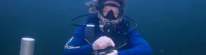 professor sets world record living 100 days underwater