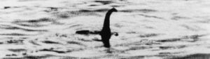 could the Loch Ness monster be a giant eel
