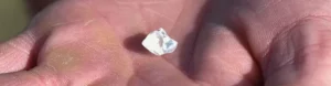 4.87 carat diamond found in state park