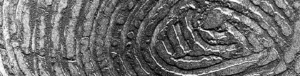 archeologists find 2,600 yr old fingerprint of biblical figure
