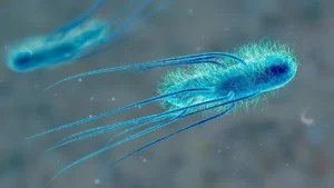 scientists create new form of life