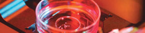 synthetic life forms could pose serious risks say scientists