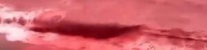 sea turns blood red in Middle Eastern country