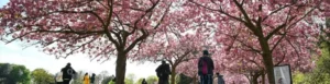 vernal equinox brings start of astronomical spring